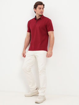 Джемпер мужской с воротником поло короткий рукав GREG G144-KO1246T-SAS5068 (бордо)  фото 6