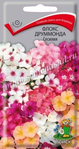 Флокс друммонда Сесилия (ЦВ) (1) 0,3гр.