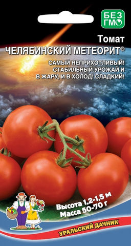 Томат ЧЕЛЯБИНСКИЙ МЕТЕОРИТ Самый неприхотливый! Стабильный урожай и в жару, и в холод! Сладкий!