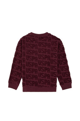 Erkek _ocuk Bordo Bisiklet Yaka Sweatshirt - U.s. polo assn фото 3
