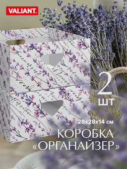 VAL BT-BC-2H Коробка для хранения, 28*28*14 см, набор 2 шт., BOTANIC, шт