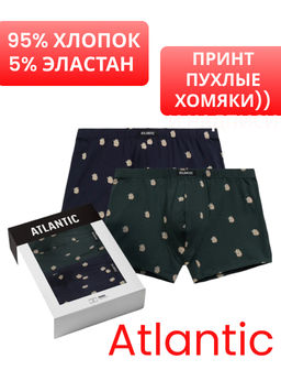ATLANTIC 2MHH-001 Трусы шорты Faster Fred - набор 2 шт. темно-синий + изумрудный