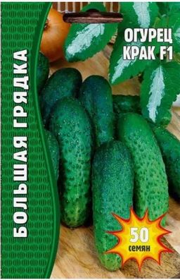 Огурец Крак F1 50 шт Польша РЕДКИЕ СЕМЕНА 1394195146 купить за 68.44