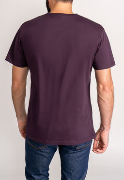Футболка мужская короткий рукав GREG G145-RD-7020 (фиолет)  фото 2