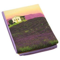 Покрывало стеганое Французские просторы 240х215см, спальное место 160см, бязь набивная Комфорт 121г/м2, хлопок 100%, многоигольная стежка, наполнитель синтепон 70гр, подкладка бязь отбеленная 121г/м2, Домашняя мода (Россия)  фото 2