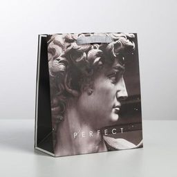 Пакет подарочный ламинированный вертикальный, упаковка, Perfect, ML 23 х 27 х 11,5 см