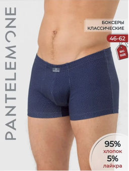 Новинка! Мужские трусы-шорты - Pantelemone фото 4