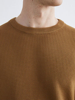 Bisiklet Yaka Kareli Erkek Triko Kazak