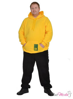 Толстовка Модель №772 размеры 44-84 - Plusmoda фото 4