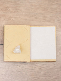 Фотоальбом «Ящерица», 10 листов, 23×27×2 см, коричневый