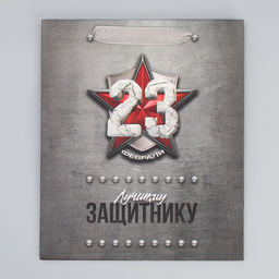 Цена за 2 шт. Пакет подарочный ламинированный, упаковка, «С 23 февраля», ML 23×27×11.5 см