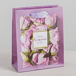 Пакет подарочный ламинированный, упаковка, Самой Нежной на свете, ML 23?27?11.5 см