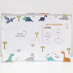 Папка для свидетельства о рождении, А5 «Динозаврики»