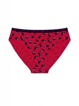 Женские трусы Indefini (Арт.3459LUF)  фото 4