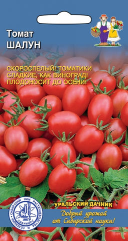 Томат ШАЛУН Необычайно сладкий и обильный томат черри из Сибири! Скороспелый! Плодоносит до осени!