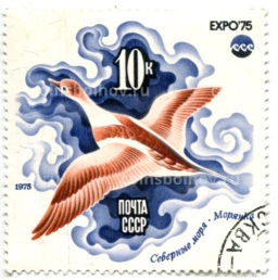 Марка Северные моря  Морянка 1975 год