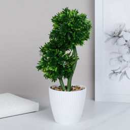 Цветочная композиция Зелень самшит 28 см / 9090-9 /уп 9/72/ - Галеонтрейд фото 6