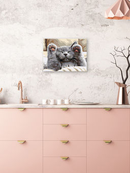 ФРЕЯ PNB/PM-373 Набор для раскрашивания по номерам 40 х 30 см Нежные лапки