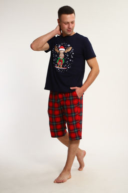 Шорты мужские Новый Год ШМ-03