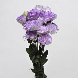 da369d0154e2db0bf13432fcf5be00b328i1odbykhwhzh6s