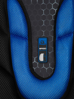 V6 : Hummingbird  фото 5