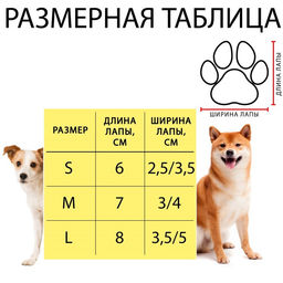 Носки нескользящие Снежинки, M (3/4?7 см), набор 4 шт. - Пижон фото 2