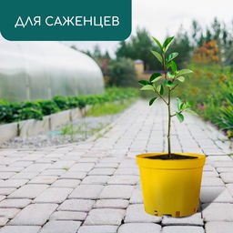 Цена за 2 шт. Горшок для рассады, 5 л, d=22 см, h=18 см, пластик, жёлтый, Greengo