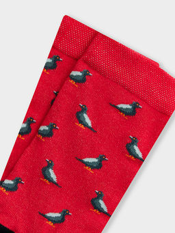 Цена за 5 пар! Носки мужские красные с узором в виде голубей - Mark formelle фото 4