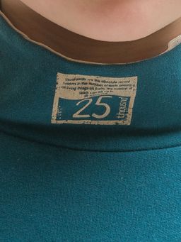 BFJS3296 джемпер для мальчиков - Pelican фото 2