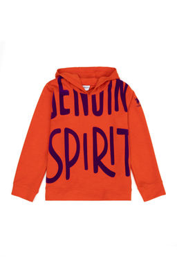 Оранжевый свитшот для девочки - U.s. polo assn фото 5