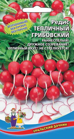 Редис ТЕПЛИЧНЫЙ ГРИБОВСКИЙ  Всесезонный! Без пустот! Без горечи!