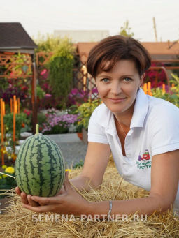 Арбуз Кубок Огня - Партнер фото 3