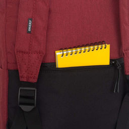 RQL-417-8 Рюкзак - Grizzly фото 50