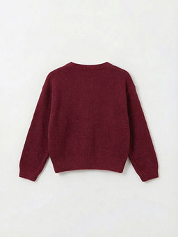 Fiyonk Detayl? Bisiklet Yaka K?z Bebek Triko Kazak