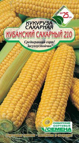 Кубанский Сахарный 210 кукуруза 5г (ссс) Р