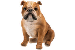 Фигурка декоративная 18*11*16,5 см Бульдог - Elan gallery фото 4
