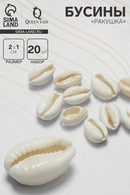 Бусины для творчества Ракушка, 2?1 см, необычная,14-18 мм, набор 20 шт., белые