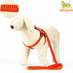 Комплект амуниции рельефный, поводок 120 х 1,5 см, ОГ 36-49 см, красно-жёлтый