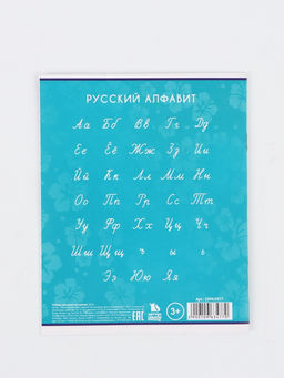 Цена за 20 шт. Тетрадь 12 листов в линейку "Стич"