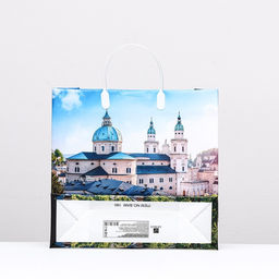 Цена за 10 шт. Пакет Город, мягкий пластик, 30 x 30 см, 120 мкм - Simaland фото 2