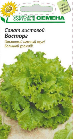 Восторг салат листовой 0,5гр (ссс) Р