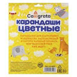 Карандаши Calligrata, цветные, 24 цвета, деревянные, трёхгранные, МИКС