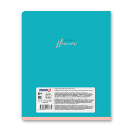 Светоч 96ТЕТк-004 Тетрадь ученическая общая, глянцевая ламинация, A5 96 л. на скобе 60 г/кв.м , белизна 100 % 5 шт. клетка 000771 Вкус лета  фото 9