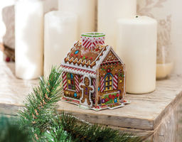 Набор для вышивания PANNA IG-1575 Пряничный домик 10 х 12 см