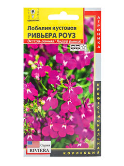 Цена за 3 шт. Семена цветов Лобелия кустовая «Ривьера Роуз», драже, 8 шт., «Агроника»