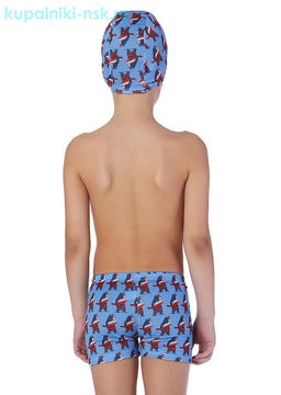 2015 Шорты купальные для мальчика (7-12 лет)