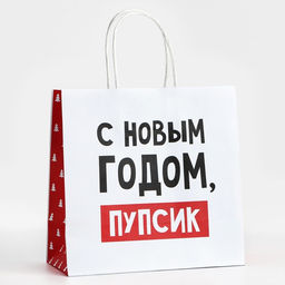 Цена за 2 шт. Пакет подарочный новогодний «С Новым годом, пупсик», 22×22×11 см