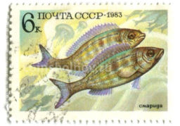 Марка Смарида 1983 год