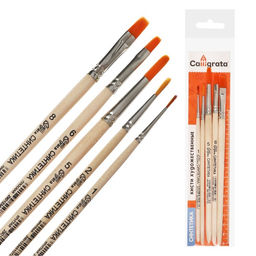 Набор кистей для рисования, синтетика, 5 штук: №: 1, 2, 5 (круглые), № 5, 8 (плоские), Calligrata, круглые, плоские, деревянная ручка, в пакете