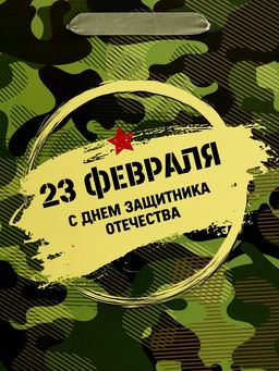 Цена за 2 шт. Пакет подарочный вертикальный 23 февраля, ML 23?27?11.5 см